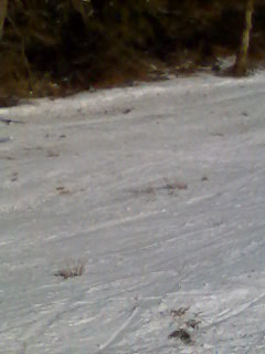 Links neben den Lift (von unten aus gesehen)sieht es noch schlimmer aus