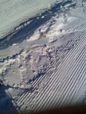 Auch auf der Schlepperstecke sind Grasbüschel zu sehen....Bei Lift 2 war es noch schlimmer