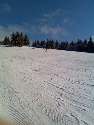 Nochmal Blick auf den Hang