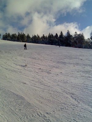 Hier lässt sich schon erahnen,wie viel Grasbüschel zu sehen sind,extremer war es ganz oben und ganz unten, wovon wir keine Bilder gemacht haben!