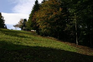 Bolfenk zum zweiten, ebenfalls mit Lichtmasten. Alle Masten stehen knapp neben den Hydranten der Schneeanlage (wohl wegen der gemeinsamen Stromleitung).