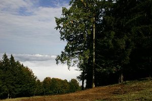 Bolfenk zum ersten: Gut zu sehen die Lichtmasten (noch ohne Lampen). Im Tal gab es zu diesem Zeitpunkt noch Nebel, oben war es sonnig und warm.