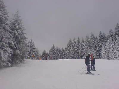 Die beschneite Piste am Brembergkopf....toll zu fahren
