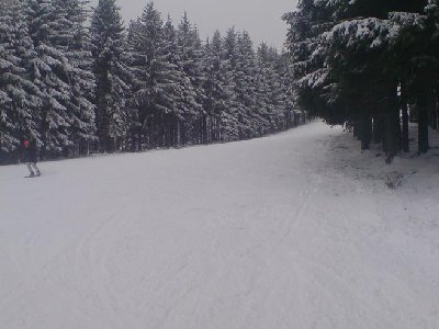 Die toll zu fahrende Piste am Parallelhang