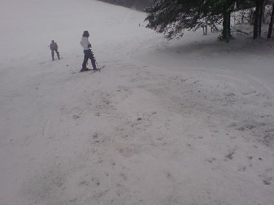 So sahen die unbeschneiten Bereiche in etwa aus.