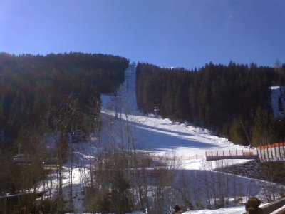 Blick auf Eggalm-Waldabfahrt