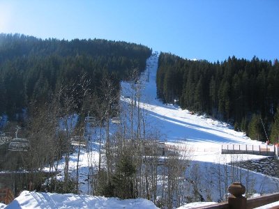 Eggalm Abfahrt (unterer Bereich)<br />schattig und toll präpariert<br />häufige Geländewechsel