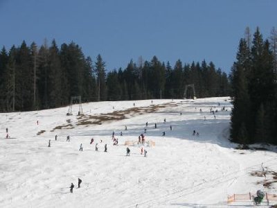 Talabfahrt Rußbach. Der Hang wird mittlerweile auch kritisch, weil die Eisgrundlage zu tauen beginnt.