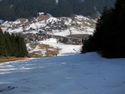 Willkommen im Gemüse, auch genannt Talabfahrt Gosau