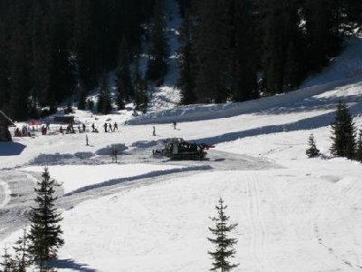 Anlegen von Schneedepots auf Höhe Zeishofalm, Gosau