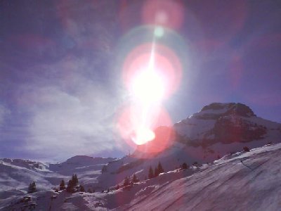 Blick von der Bettenalp Richtung Bonistock