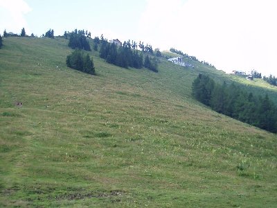 die Pisten sehen eigentlich ganz ok aus