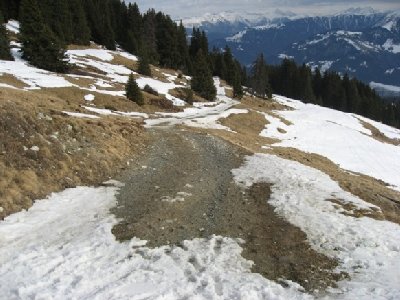 Aber dann war auf der Starli-Gedächtnis-Piste doch Schluss. 3x abschnallen und Querfeldeinabfahrt