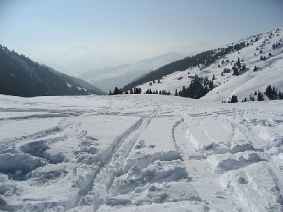 Neben der Piste 44 zur Alp Ruschein