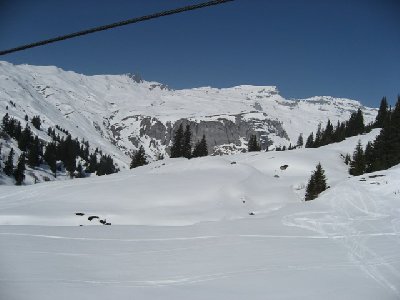 Und hier das Liftseil?