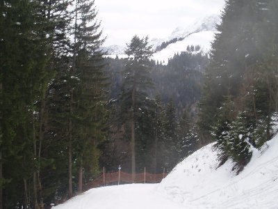 Beginn der Abfahrt Nr.2 mit Blick auf das Rossfeld bei Berchtesgaden