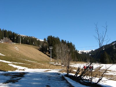 DSB Arven auf der grün-braunen Wiese mit vereinzelten Schneeresten.