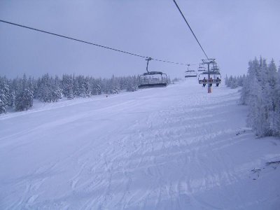 Almabfahrt - ausgezeichnete Bedingungen!