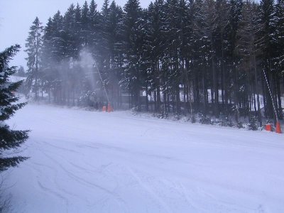 Standardabfahrt - letztes Teilstueck unterhalb der Schieferwiese