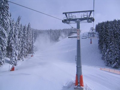 Steinbachalmbahn und Almabfahrt unten