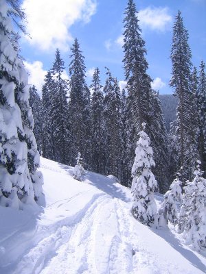 viel weiter runter als bis zum Weg sollte man nicht fahren, falls man nicht mit dem Untergrund Bekanntschaft machen moechte.