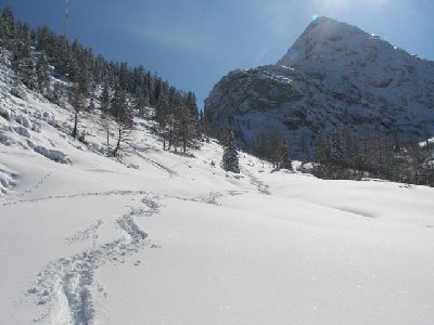 hinterm Törleck, leider zu wenig Schnee, damit man da gscheit fahren könnte... aufpassen auf Latschen, Bäche...
