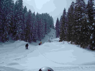Skilft Twäregg im herrlich verschneitem Wald