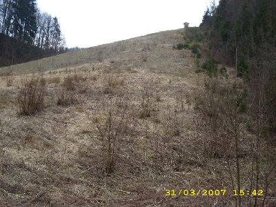 Endstück der ehemalige Trissl-Abfahrt