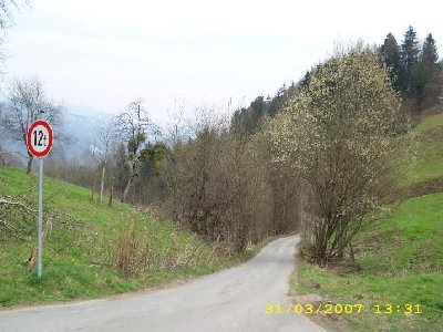 Teerstraße ins Tal nach zur Trissl-Klinik