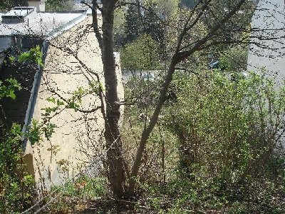 Blick richtung &amp;quot;Talstation&amp;quot;