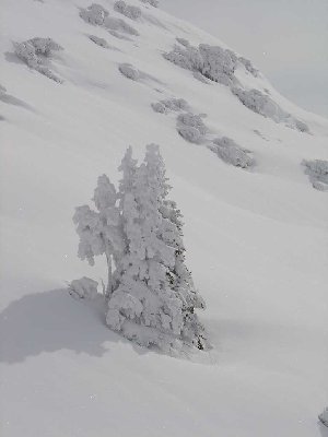 Auch von der Valfagehrbahn aus gemacht
