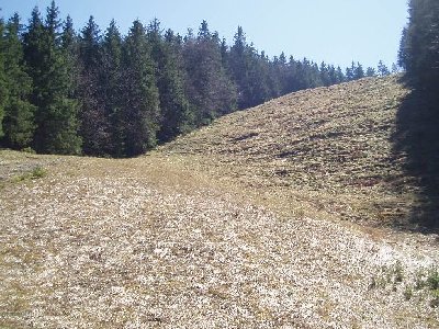 kurzer Steilhang bei der Talabfahrt nach Bayrischzell