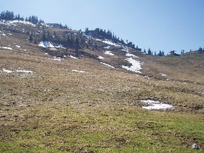 einzelene Schneeflecken lagen hier und da auch noch rum