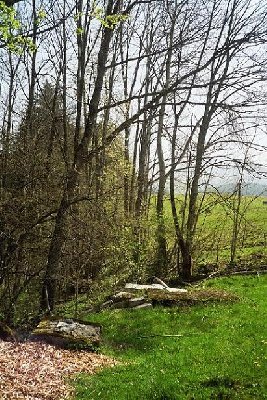 Hier war die Bergstation. Wäre sogar noch weiter hoch gegangen...