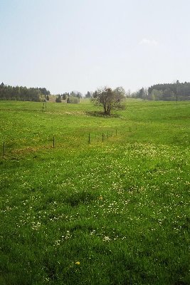 Hier gab es bei Altstädten mal zwei Schlepplifte. Hier: Trasse des längeren Lifts