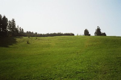Blick auf die alte Skiabfahrt.