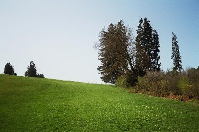Weiterer Liftverlauf vermutlich am rechten Rand (links an Böschung vorbei)
