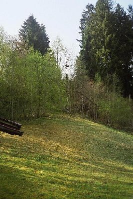 Die eingewachsene Trasse von der besagten Talstation aus. Ganz schön steil...