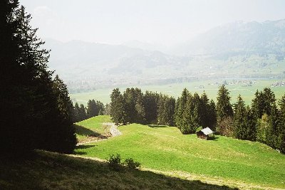 Oben angekommen. Ganz nette Abfahrt.