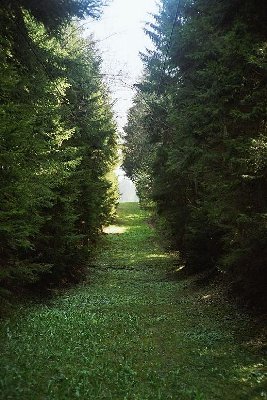 Die Trasse von der Talstation aus geknipst.