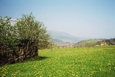 Hier müsste laut meiner Wanderkarte die Bergstation vor der Scheune gestanden haben...