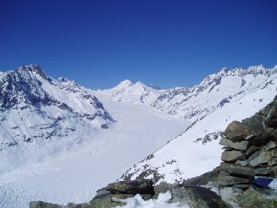 Hier präsentiert sich der Aletsch noch viel schöner