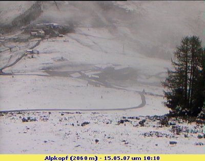 Alpkopf von eben ...