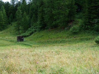 Cabin. Is possible to see the lift line on the right