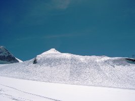 Großer Kaserer im Nachmittagslicht