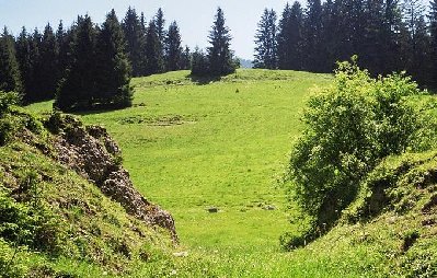 Hier müsste der Lift irgendwo aufgehört haben.