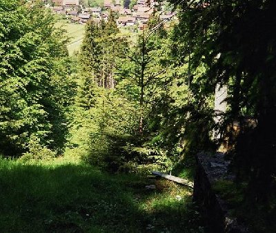 Unten rechts das Fundament. Trasse schon zugewachsen