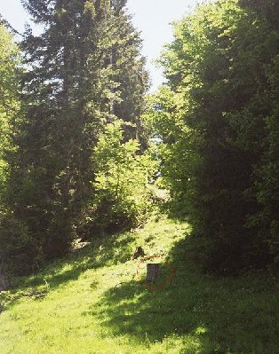 Die Stützenfundamente sind noch da