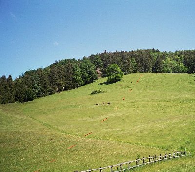 An diesem Hang ging der Staufenlift hoch. (Trasse rot markiert)
