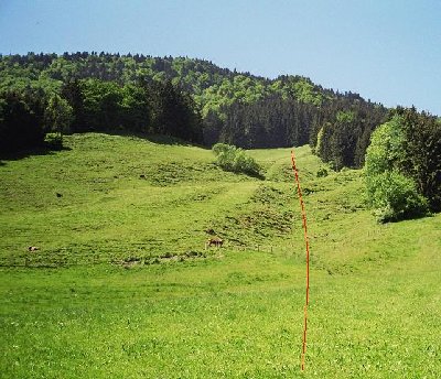 LSAP Hang oberhalb Blaichach. Nix mehr da...